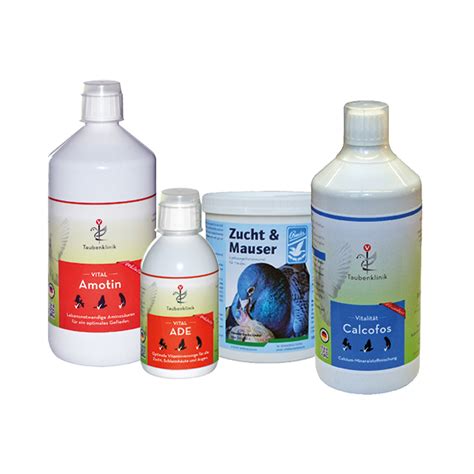 SV DOxS Zuchtpaket .